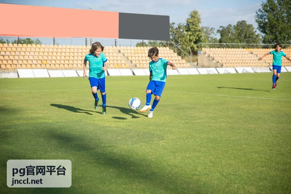 pg官网平台能力说明概览